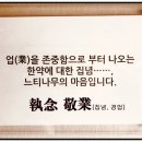 소망이 샘솟는 느티나무 한약국 이미지