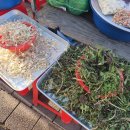 통리주유소 이미지