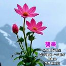 솔트라인