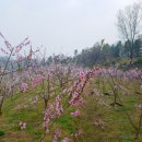 창대농장 이미지