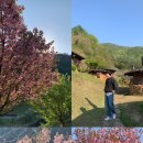 흙집사랑 이미지