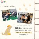 댕댕학당 이미지