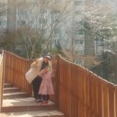 내정 어린이공원 이미지