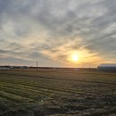 대야농협주유소 이미지