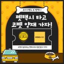 위더스 펫 이미지