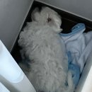 매운국물닭발은 전국통일닭발에서 먹기 -택배후기