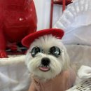 양덕동275 이미지