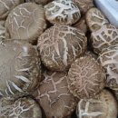 아리울농장 이미지