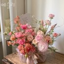 예슬리 이미지
