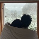 감성 가득 안동 지례예술촌 숙박 후기