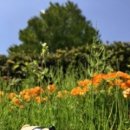 (주)오린 이미지