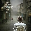 멍그루 이미지