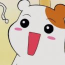 진*애