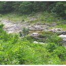 법수치통나무산장 이미지