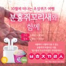 에어팟 402개, 배라파인트 100개, 아메리카노 1050잔 이벤트 모음 이미지