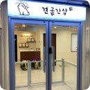 견공간샵 이미지