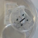 고려대학교 KU-KIST융합대학원 이미지