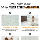 펫구름 티스토리