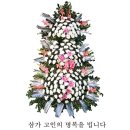 영덕제일요양병원 이미지