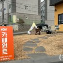 풍전소금