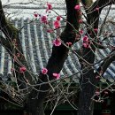 경상감영공원 이미지