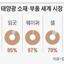 ☆중국 신장産 태양광 소재 禁輸 확산… 국내업계 비상 이미지