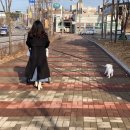 에버그린 펫 클리닉 이미지