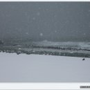 강문바다 이미지