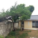 공성면사무소 화장실 이미지