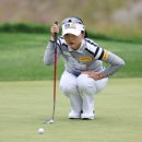 하이트퀸 이미지