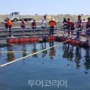 기성어촌체험휴양마을 이미지