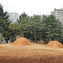 2022년 3월 20일 다이어리 - 사육신묘