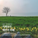 해안로 787 이미지