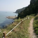 진도1호 이미지