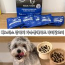 코어바이탈 | 페노비스 강아지 가수분해사료 바이탈코어 어덜트 급여 후기