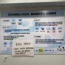 버블독스송파