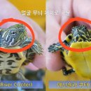 남강수족관 이미지