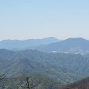 석천2 Daum카페