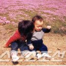 메모리스타 이미지