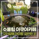 수풀림 아쿠아카페┃구리갈매 아이랑 갈만한 곳(주차, 메뉴, 이용방법)