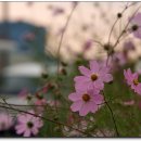 성당포구마을 이미지