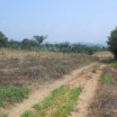 천안시성남면봉양보건진료소 이미지