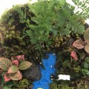 테라리움 클래스 이미지