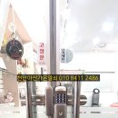 도그살롱 슈 이미지