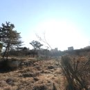 가든부동산중개사무소 이미지