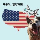 원조
