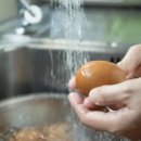 “요리 전 씻지 마세요”…세척하면 오히려 '독'되는 음식 5가지 이미지