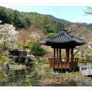고요아침