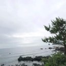 법환동-13 이미지