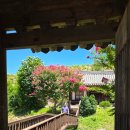 현내리 도원정사 이미지